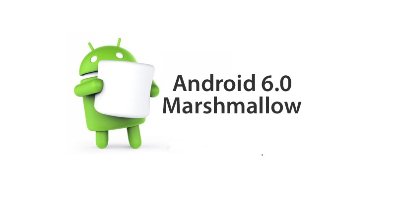 Marshmallow1