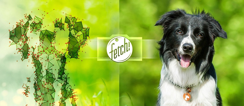 fetch_logo