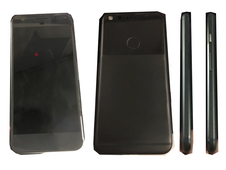 nexus_sailfish_1508_2